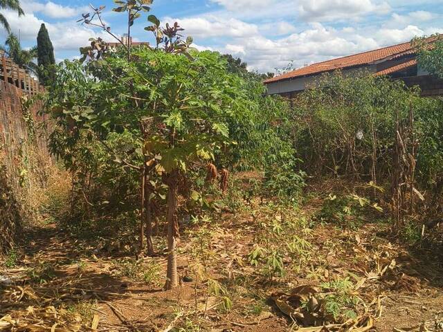 #3060 - Terreno para Venda em Aparecida de Goiânia - GO