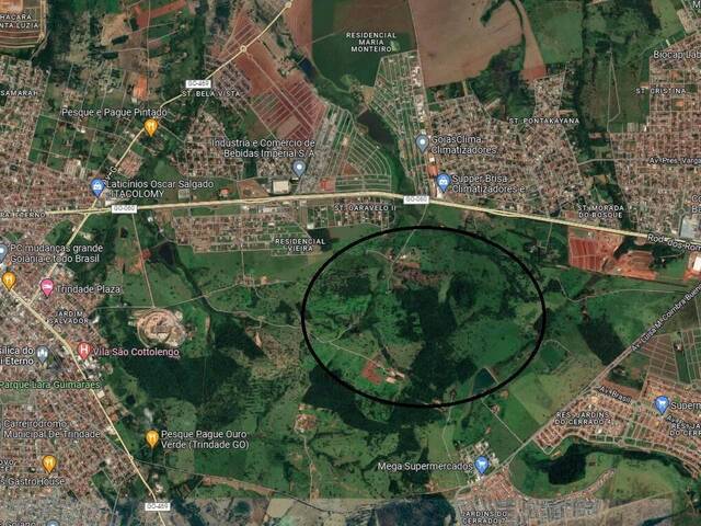 Área para Venda em Trindade - 5